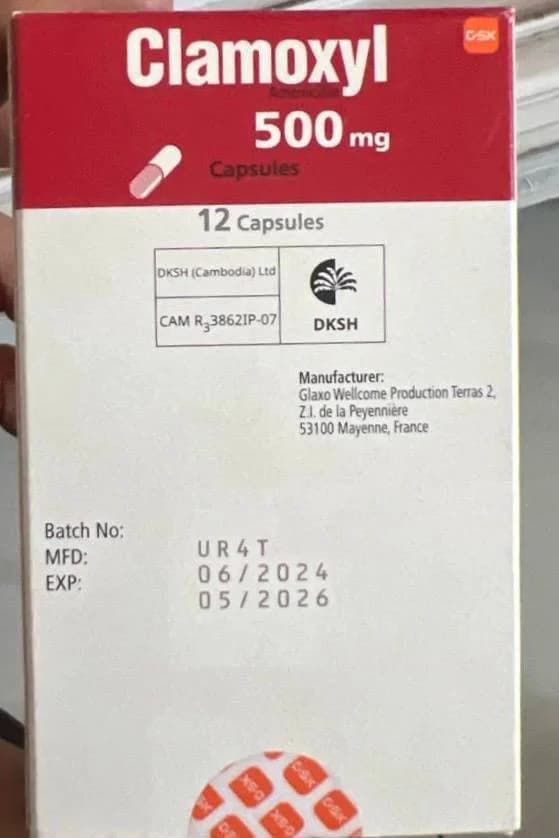 Clamoxyl 500mg Amoxicillin 500mg