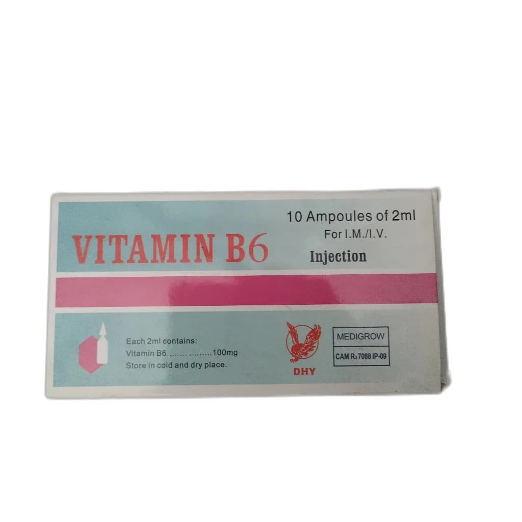 Vitamin B6 100 mg