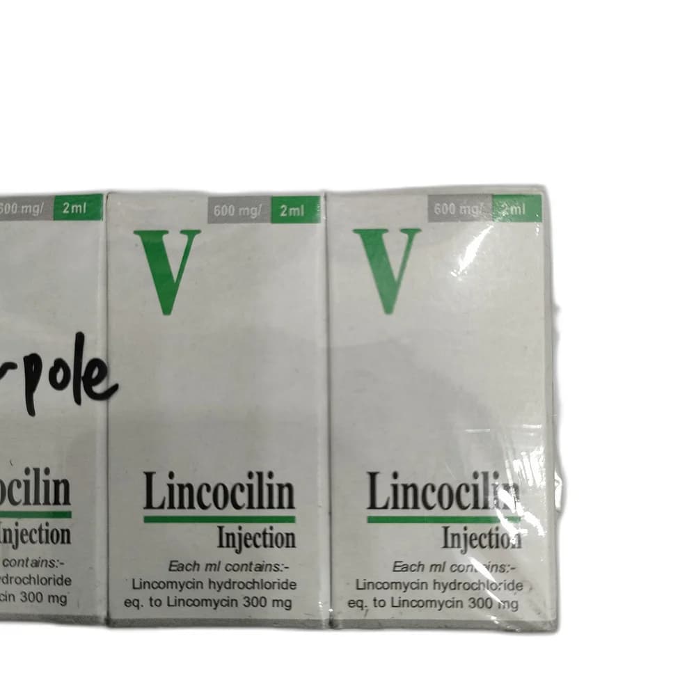 Lincocilin 600 mg / 2 mL