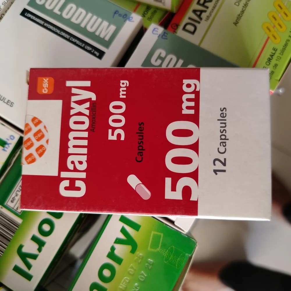 Clamoxyl 500 mg per capsule