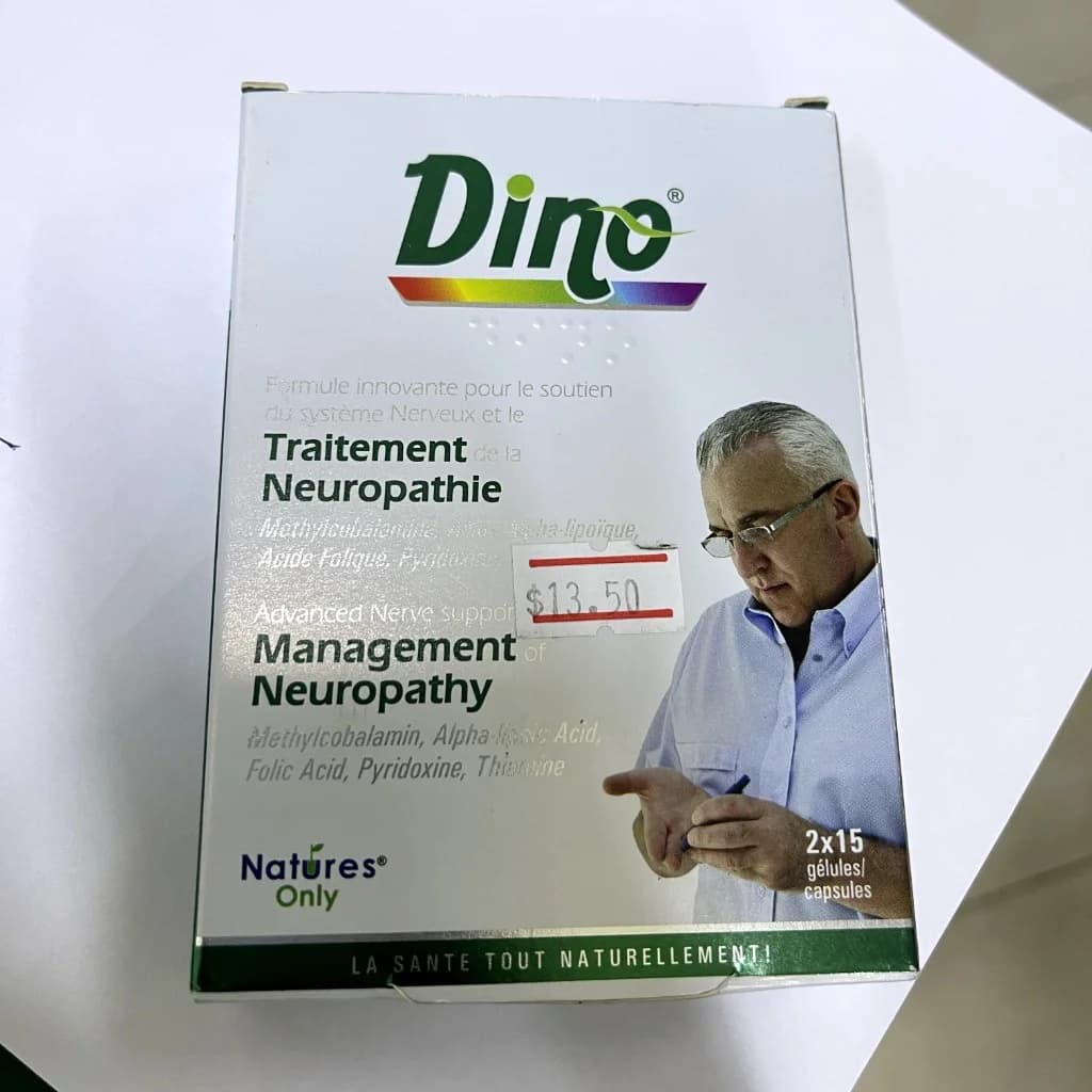 Dino Not available