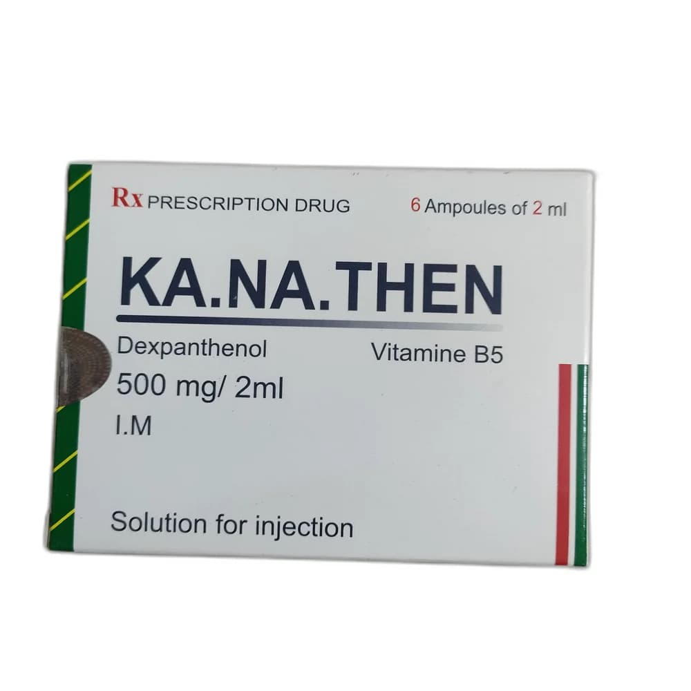 KA.NA.THEN 500 mg/2 ml