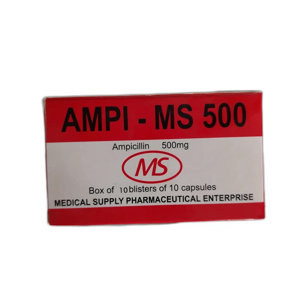 Ampi-MS 500 mg