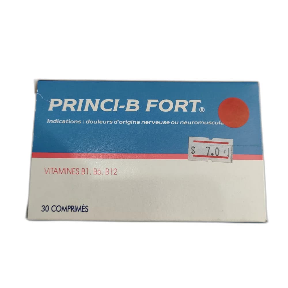 Princi-B Fort