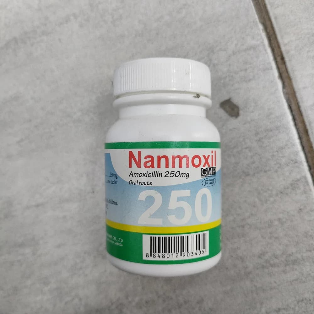 Nanmoxil 250 250 mg per tablet
