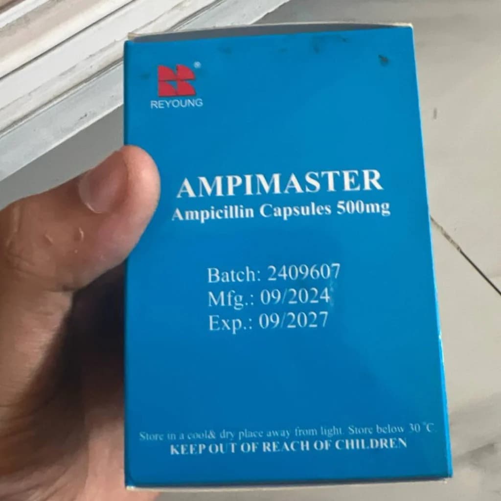 AMPIMASTER Ampicillin 500 mg