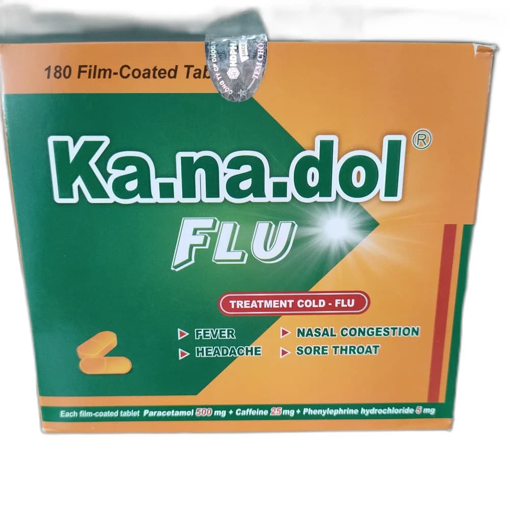 Ka.na.dol Flu 500 mg / 25 mg / 5 mg
