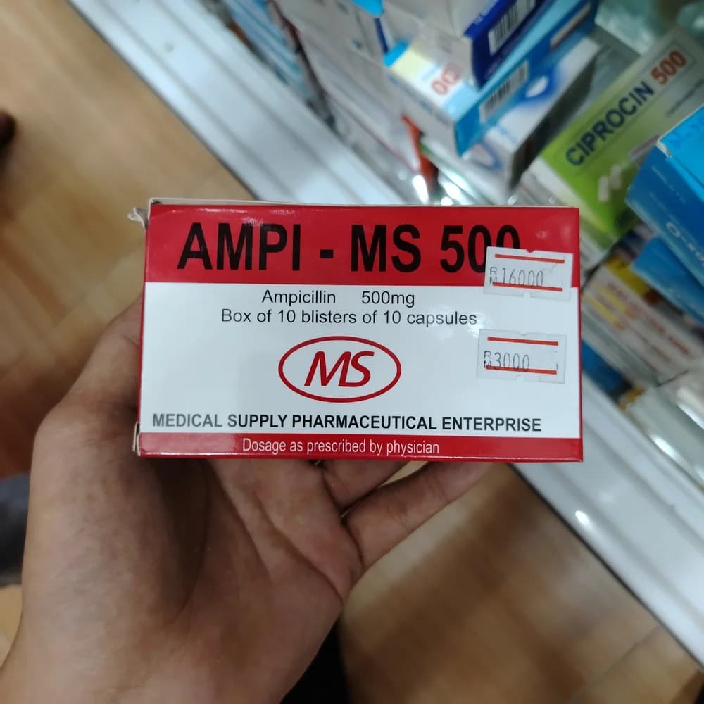 Ampi-MS 500 mg