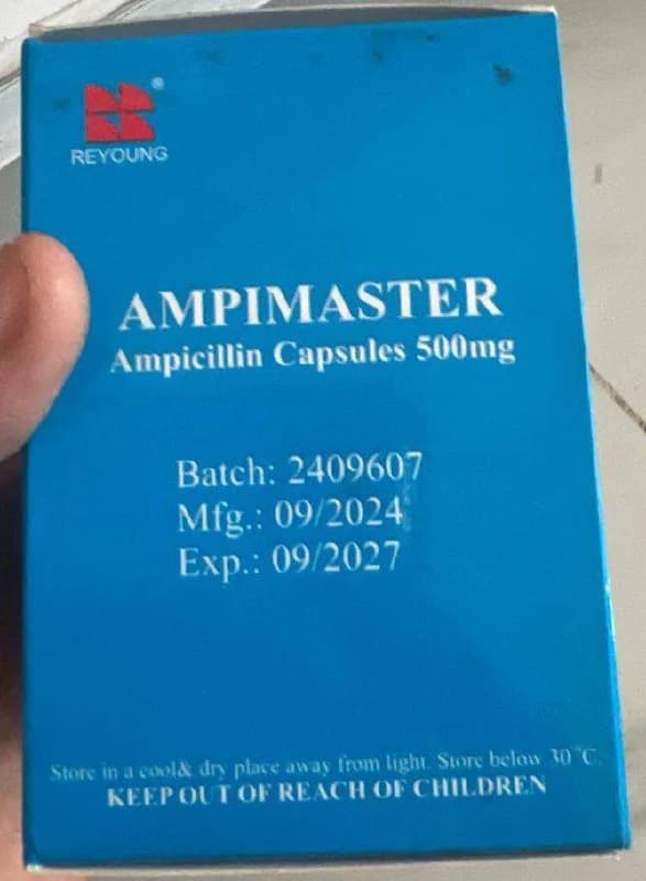 AMPIMASTER 500mg