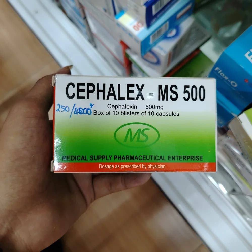 Cephalex MS 500 mg