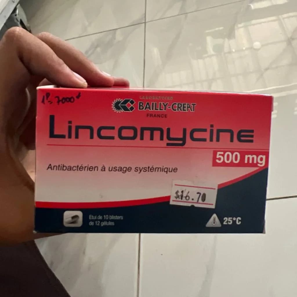 Lincomycine 500 mg