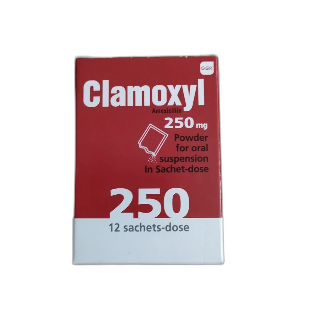 Clamoxyl 250 mg - PHARMACIE MONGKUL