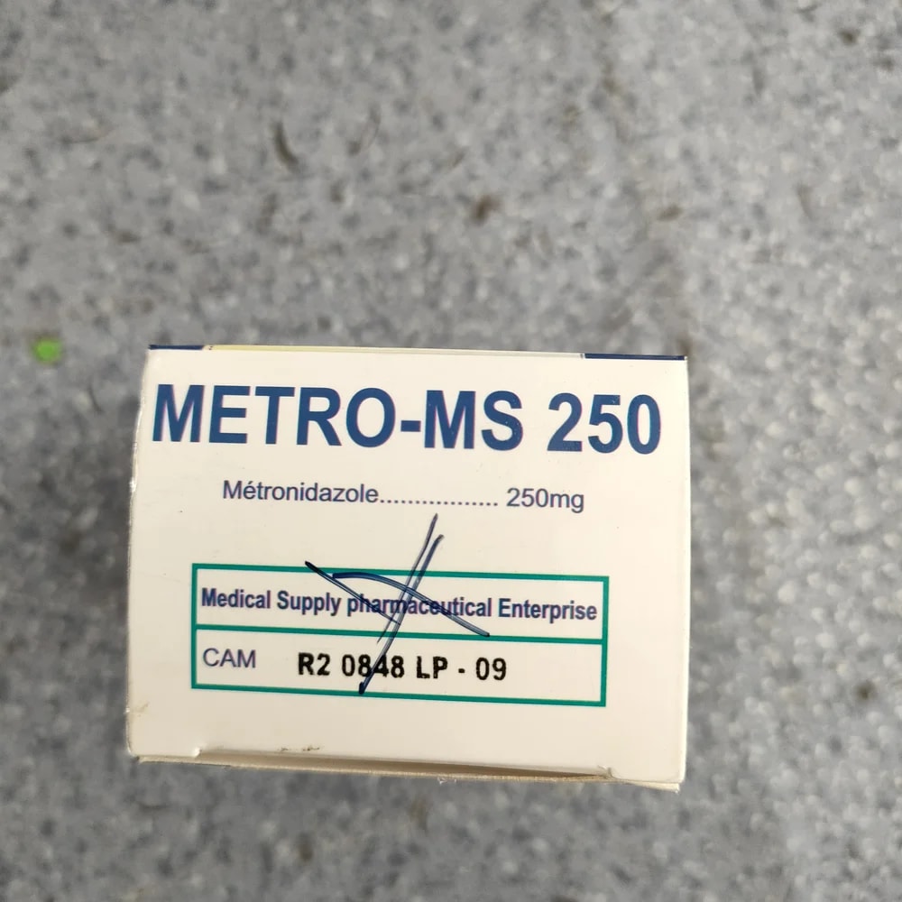 Metro-MS 250 250 mg - Depot De Pharmacie "A" Kim Houy