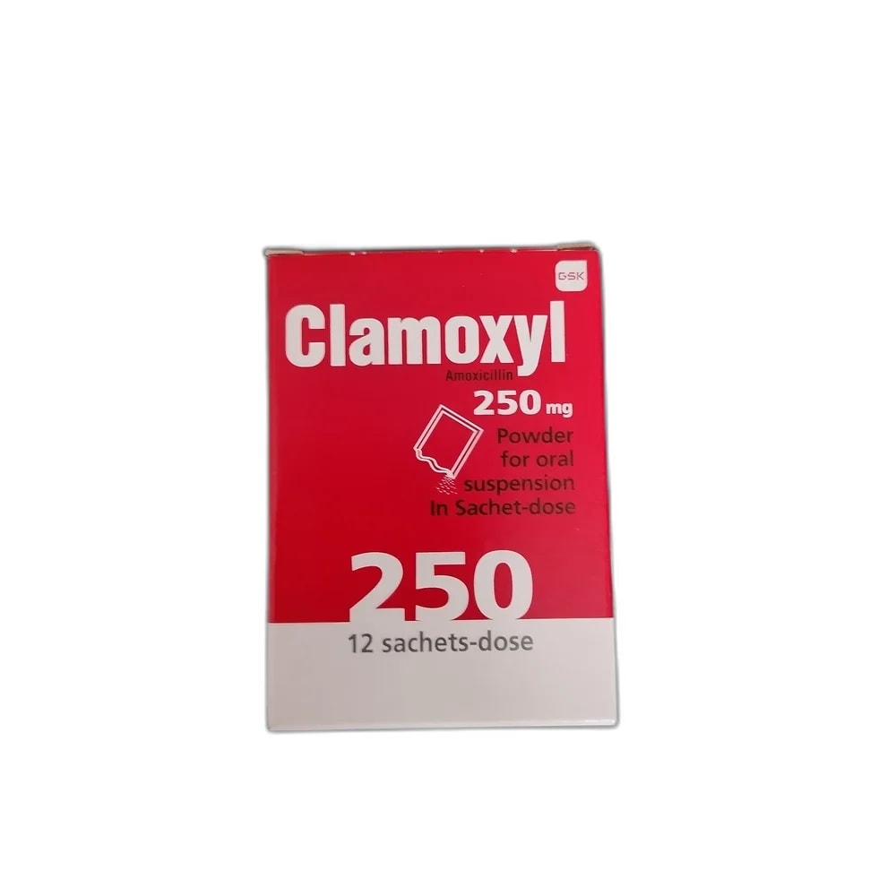Clamoxyl 250 mg - PHARMACIE RATANAK