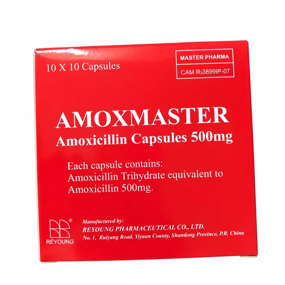 Amoxmaster 500 mg - ហ្វាម៉ាសង់តេ