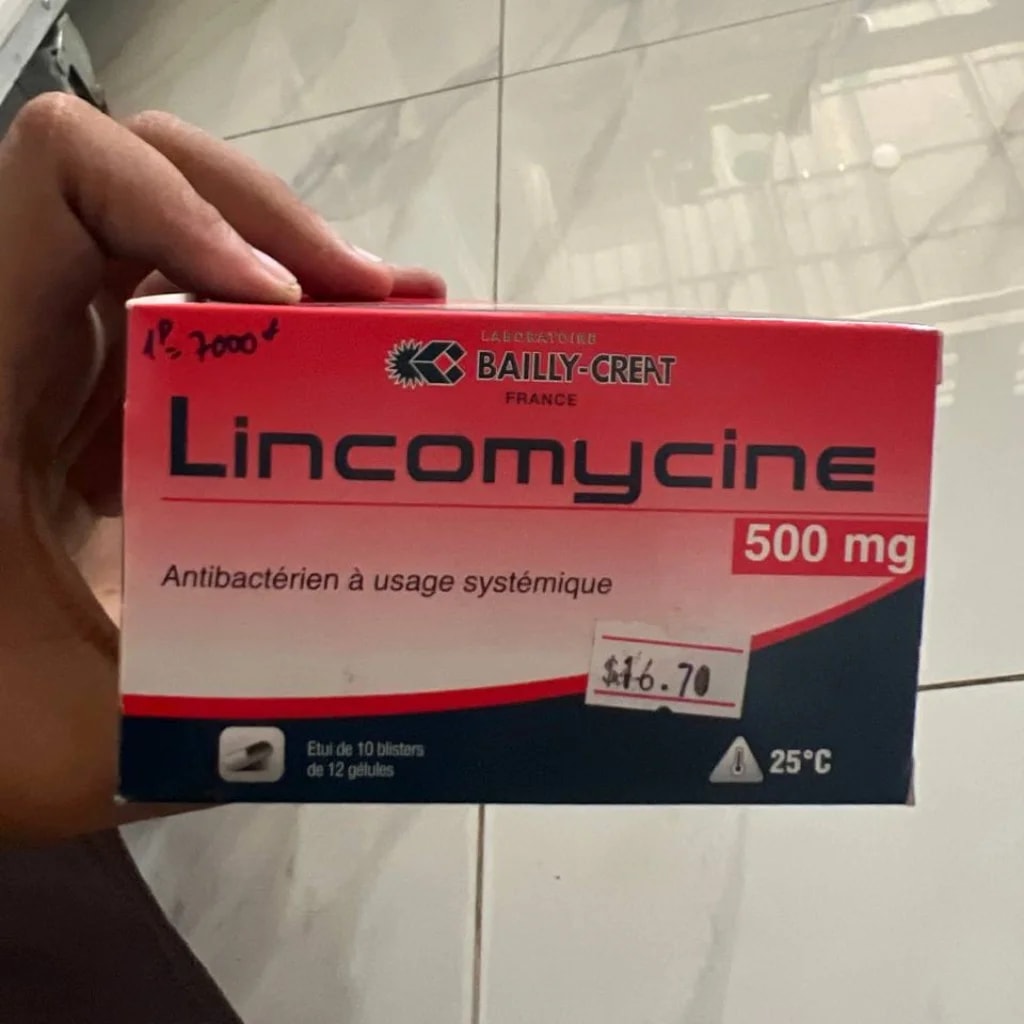 Lincomycine 500 mg - SETHIKA CARE Pharmacy