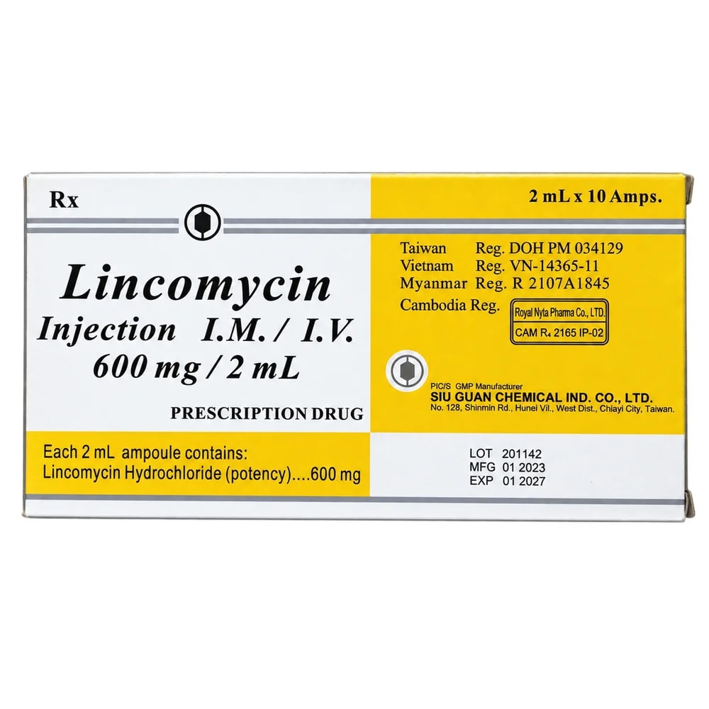 Lincomycin 600 mg / 2 ml - PHARMCY ARUN REAS