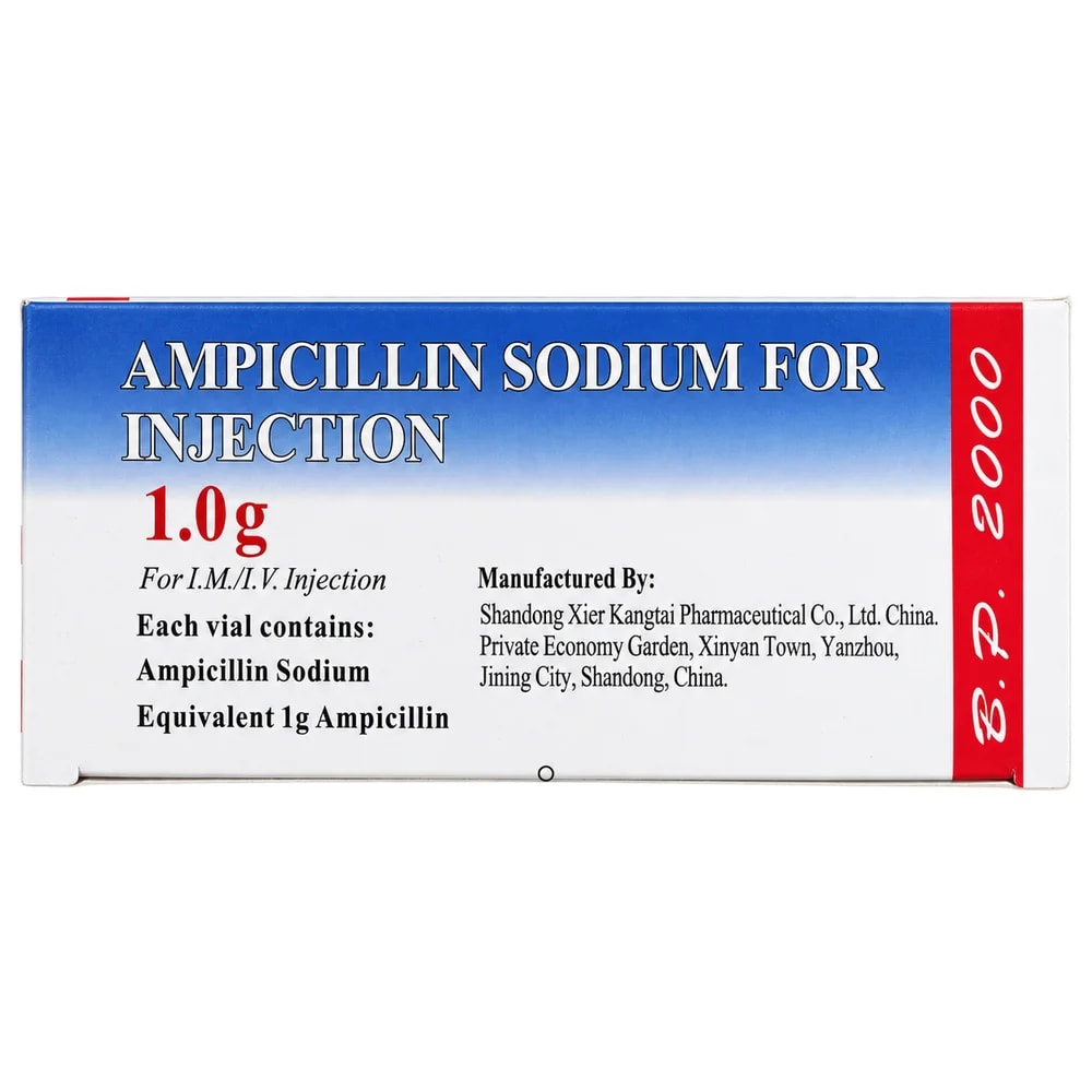 Ampicillin Shandong Xier Kangtai 1 g - PHARMCY ARUN REAS