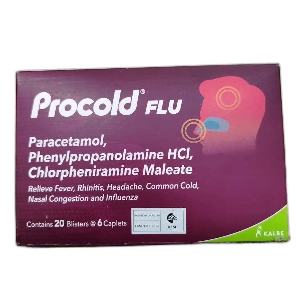 Procold Flu 500 mg / 25 mg / 2 mg