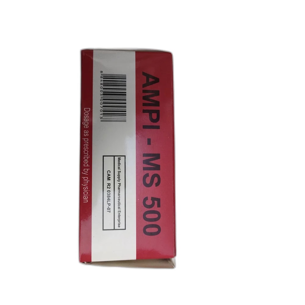 Ampi-MS 500 500 mg - PHARMACIE PORNLEU PICH