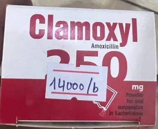 Clamoxyl Amoxicillin 250mg