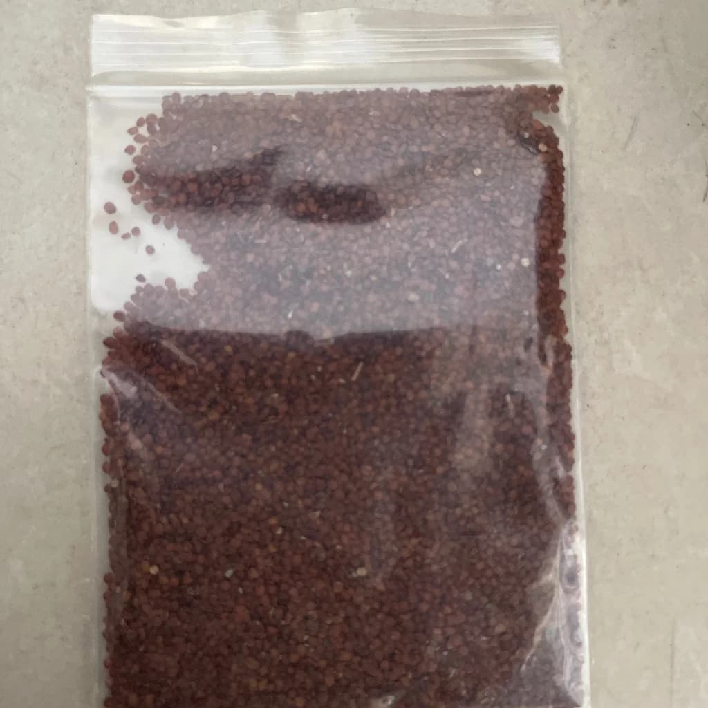 ផ្កាស្មៅ