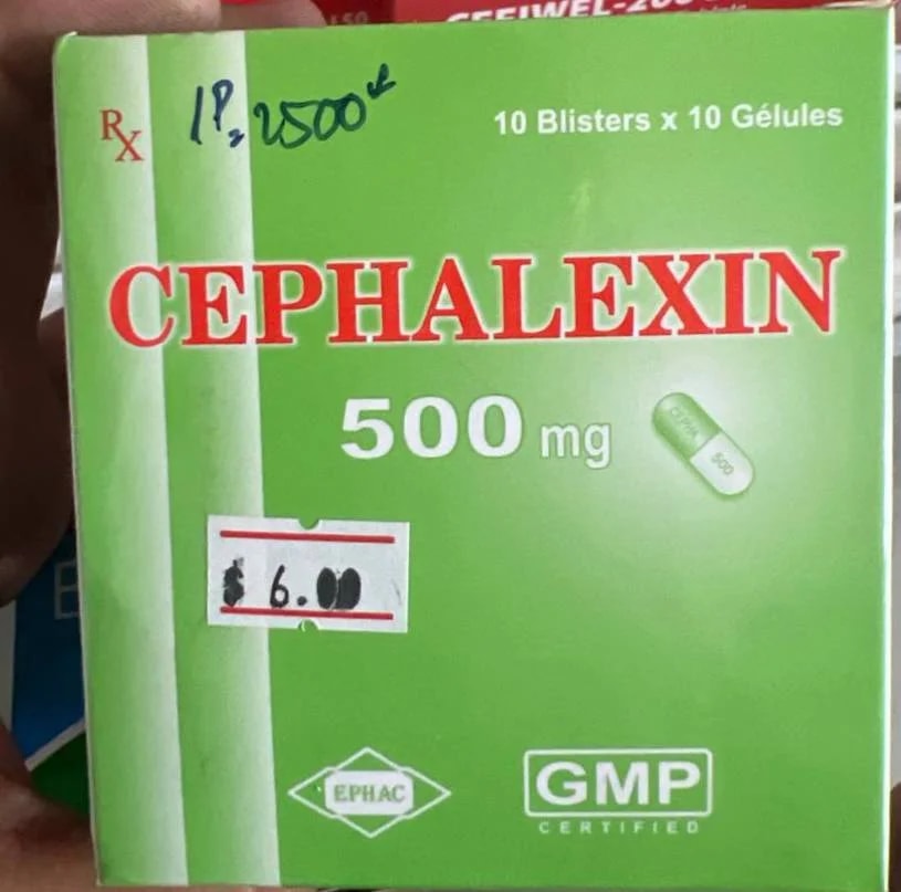 Cephalexin 500 Cephalexin 500mg - α±ααααααΆα ααααΈαααα‘αΆαα