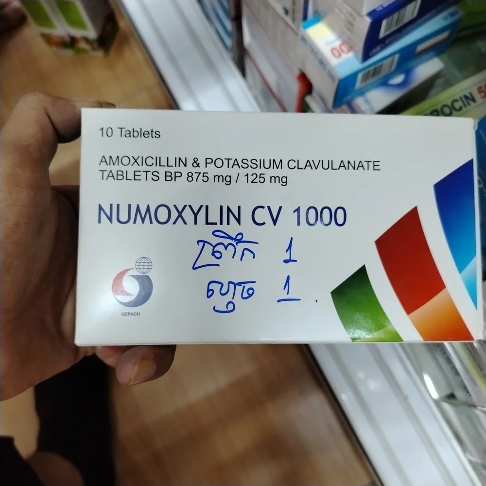 Numoxylin CV 1000 875 mg / 125 mg - Reachiny Pharmacy