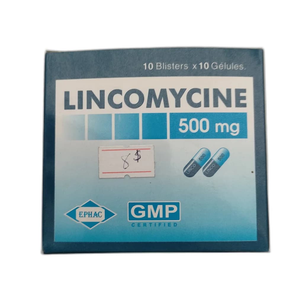 Lincomycine 500 500 mg