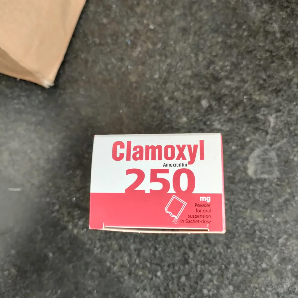 Clamoxyl — available at pharmacies in Cambodia on PharmKulen