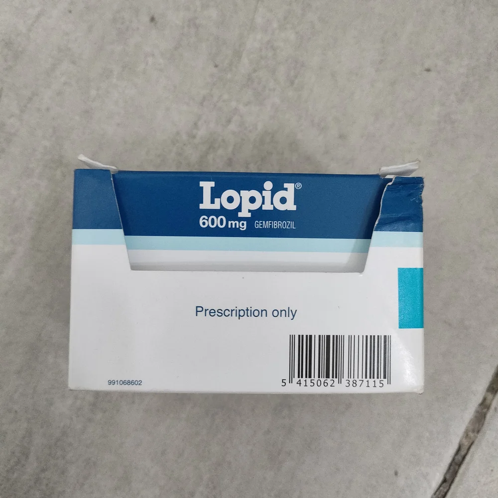 Lopid 600 mg — available at pharmacies in Cambodia on PharmKulen