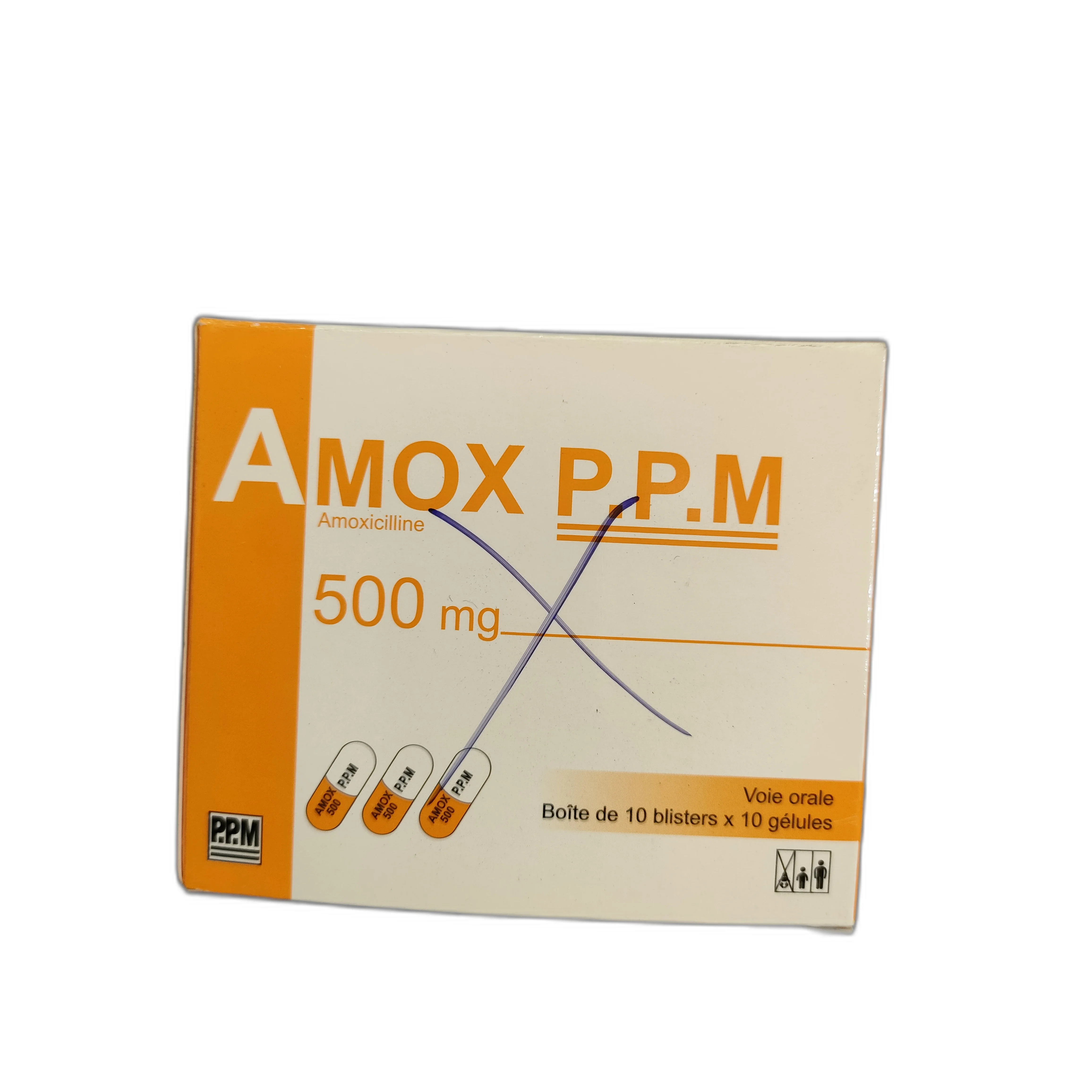 Amox P.P.M — available at pharmacies in Cambodia on PharmKulen