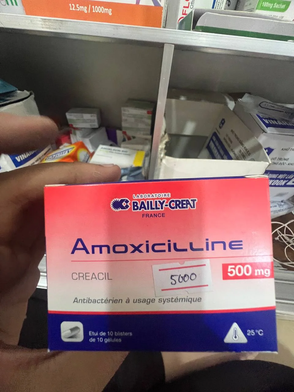 Amoxicillin (CREACIL) — available at pharmacies in Cambodia on PharmKulen
