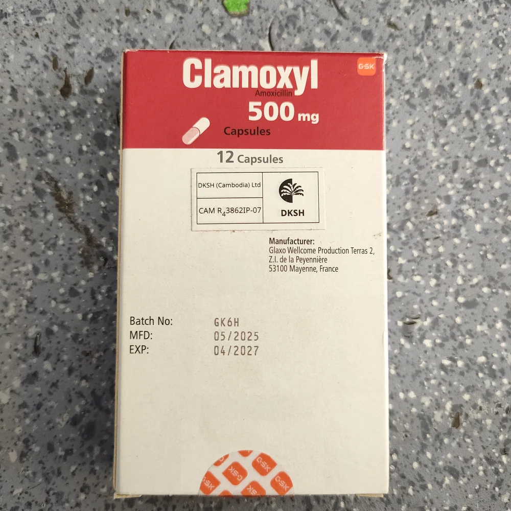 Clamoxyl — available at pharmacies in Cambodia on PharmKulen